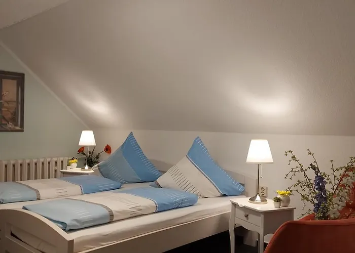 Renate Braun Konukevi